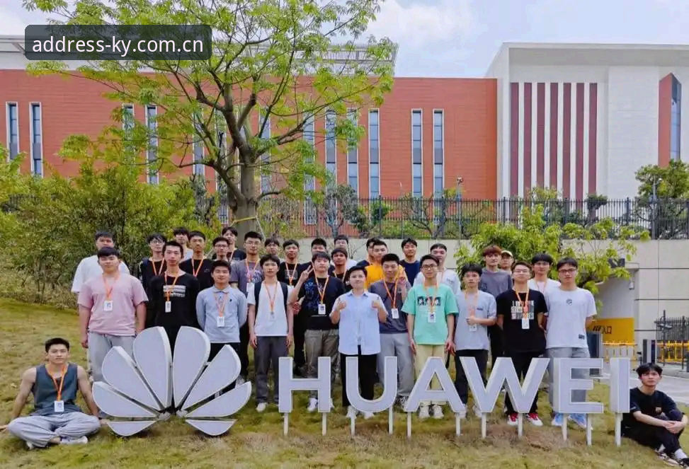 电脑端CN官网入口安全吗 电脑端CN官网入口 vs 手机端:哪个才是体育数据追踪的最优解?